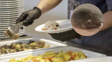 Napoli, topo morto nella pentola alla mensa di una scuola