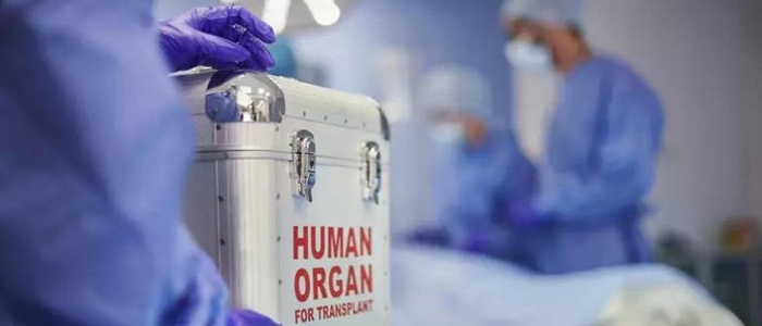 Cuore danneggiato, le prime ipotesi sul ghiaccio secco: "L'ha fornito l'ospedale di Bolzano"