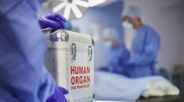 Cuore danneggiato, le prime ipotesi sul ghiaccio secco: "L'ha fornito l'ospedale di Bolzano"