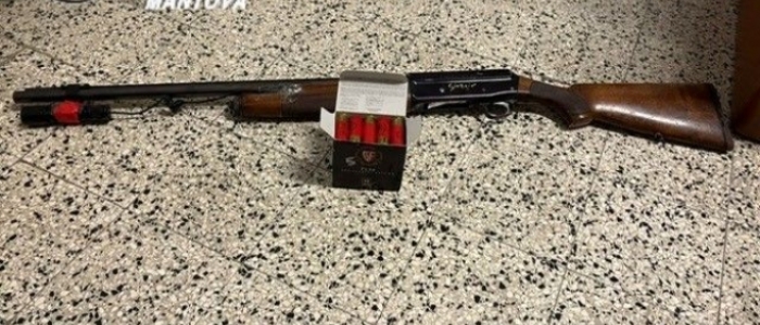 Mantova, uccide col fucile il cane del vicino: "Voleva aggredire i miei porcellini d'India"