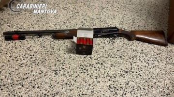 Mantova, uccide col fucile il cane del vicino: "Voleva aggredire i miei porcellini d'India"