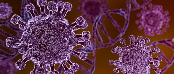 Hantavirus, 25enne calabrese sintomatico trasferito allo Spallanzani di Roma