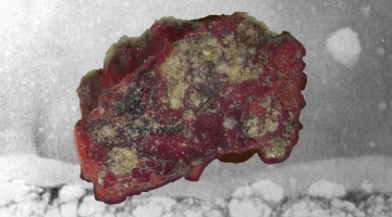 Nei resti della prima bomba atomica scoperto un materiale mai esistito prima