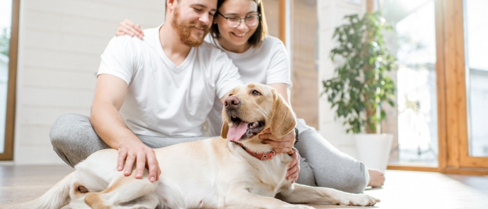 L'Italia del "pet parenting", cos&igrave; gli animali domestici sono diventati parte della famiglia