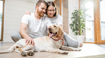 L'Italia del "pet parenting", cos&igrave; gli animali domestici sono diventati parte della famiglia