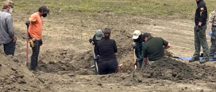 Orrore in California, scoperta una fossa comune con oltre 120 cani: il finto business del rifugio "no kill"